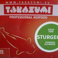 sturgeon food for sale