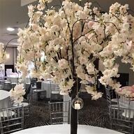 japanese cherry blossom for sale