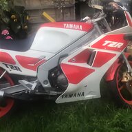 yamaha tz 125 for sale
