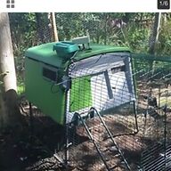 rabbit feeder for sale