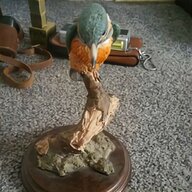 kingfisher for sale
