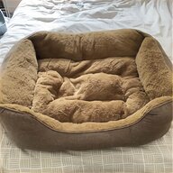 curver plastic dog bed for sale