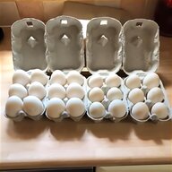 mandarin duck eggs for sale