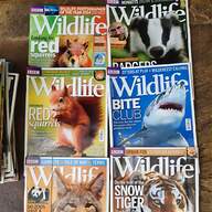 bbc wildlife magazine for sale