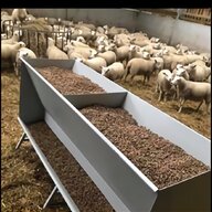 walk through sheep feeders for sale