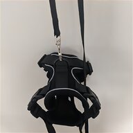 cat harness for sale