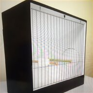 show cages bird for sale