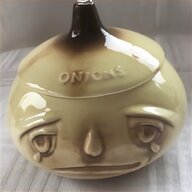 sylvac onion for sale