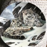 staffordshire porcelain for sale