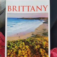 brittany for sale