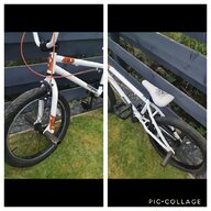 veteran bicycle for sale