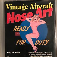 ww2 nose art for sale