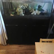 5 ft aquarium for sale