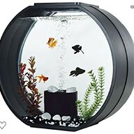 biorb aquarium for sale