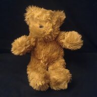 pedigree teddy bears for sale