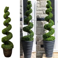 topiary for sale