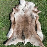 reindeer pelts for sale