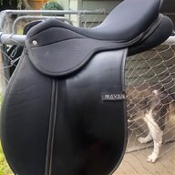maxam saddle for sale