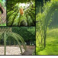 willow weaving for sale