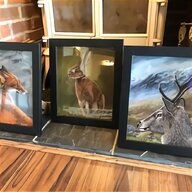 wildlife paintings for sale
