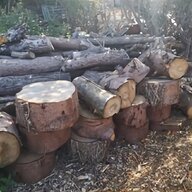 tree logs for sale