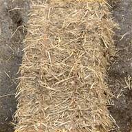barley straw for sale