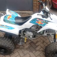 yamaha 250cc quad for sale
