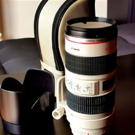 canon 300mm f2 8 for sale