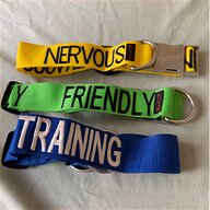 dog training collars for sale