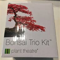 bonsai kit for sale