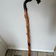 blackthorn sticks for sale