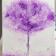 purple lilac tree for sale