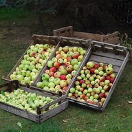 wooden apple crates for sale