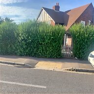 hedge cutting for sale