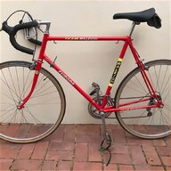 raleigh europa for sale