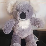 koala bear for sale