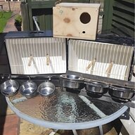 budgie nest box for sale