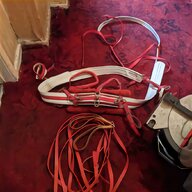 trotting harness for sale