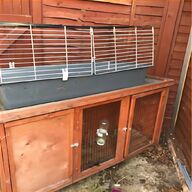 large guinea pig cage for sale