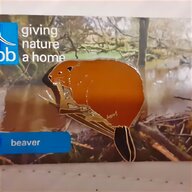 rspb pin for sale