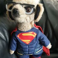 superman meerkat for sale