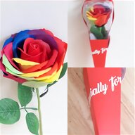 rainbow roses for sale