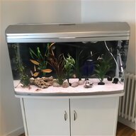 juwel aquarium for sale