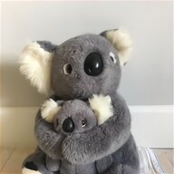 koala bear for sale