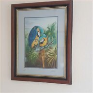 blue gold macaw for sale
