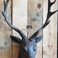 mounted deer head for sale