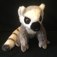 raccoon fur for sale
