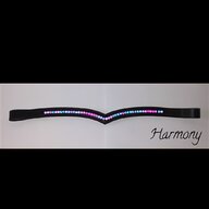 purple browband for sale