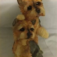 teacup yorkshire terrier puppies for sale