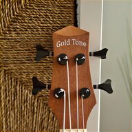 fretless bass guitar for sale